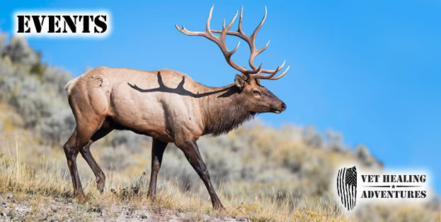 Events Elk Photo